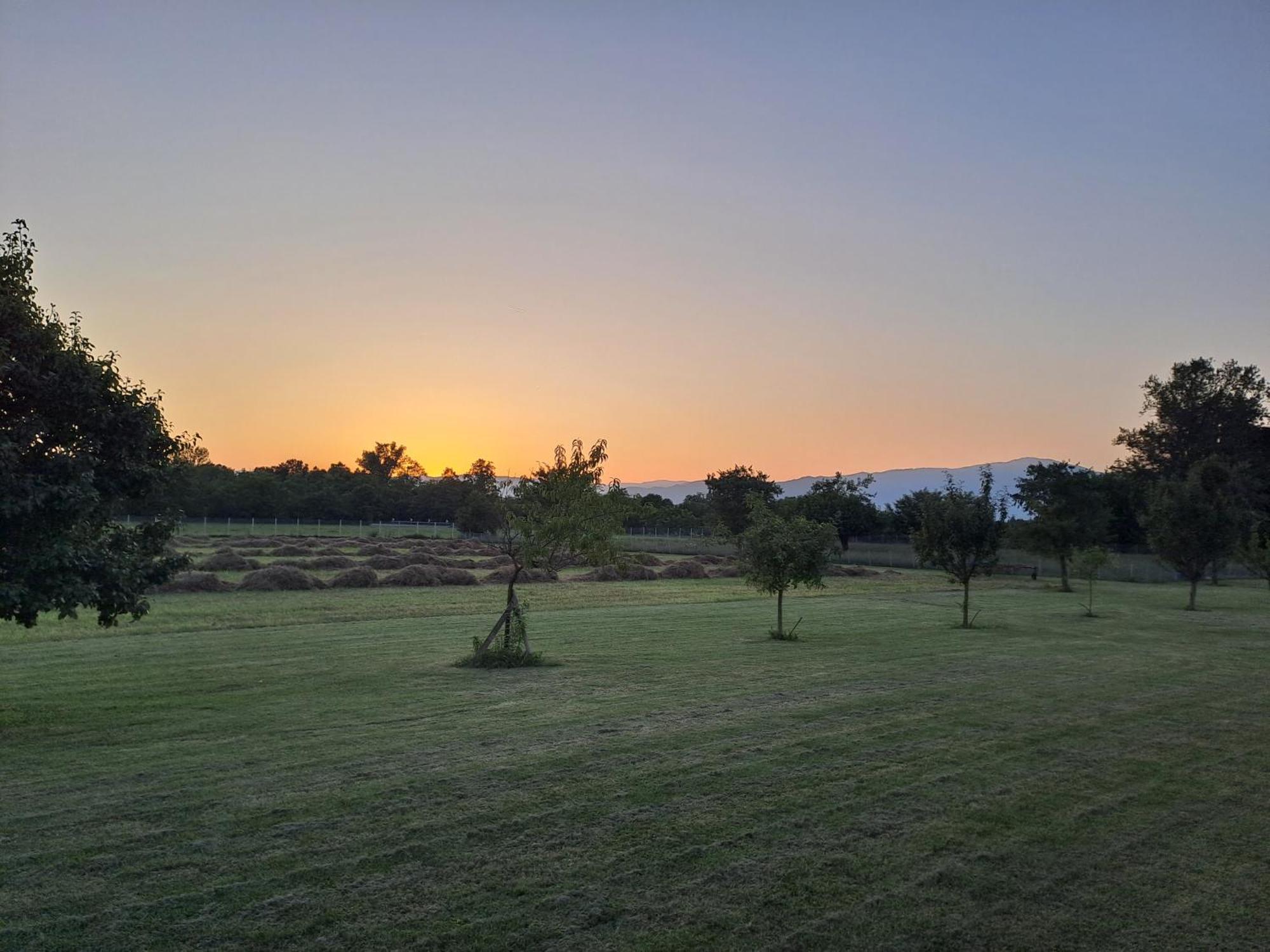 كاستيلّو دي غوديغو Azienda Agrituristica Ai Prai المظهر الخارجي الصورة